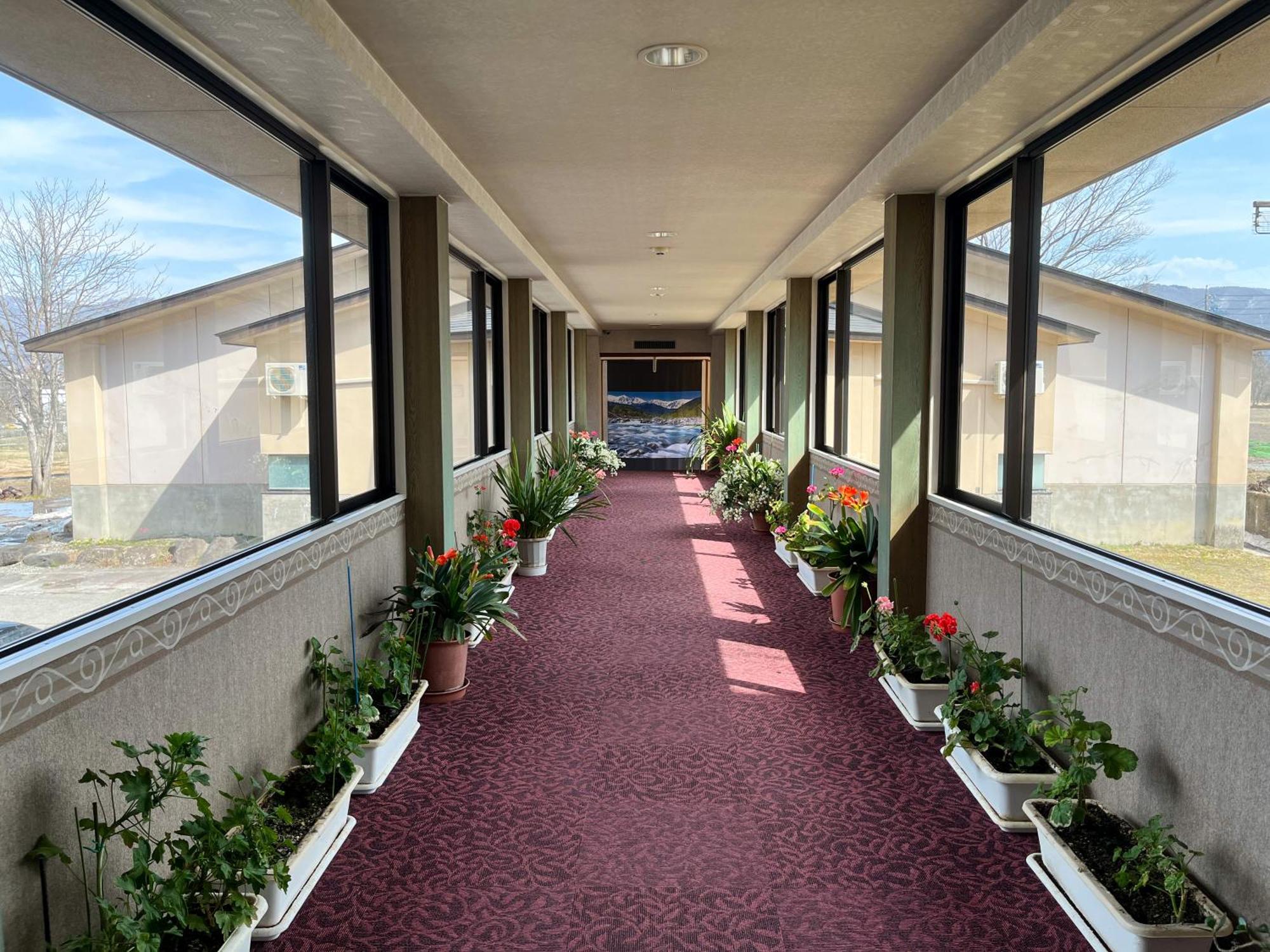 Hotel Goryukan Hakuba Exteriér fotografie